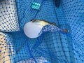 知らないと危険！「子どもの釣りデビュー」のための「5つの要確認ポイント」とは？の画像003