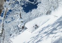 「パウダーを狙うために良い時、良い場所を知る」サッポロテイネ 攻略法【中西太洋～Home Mountain vol.1】