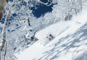 「パウダーを狙うために良い時、良い場所を知る」サッポロテイネ 攻略法【中西太洋～Home Mountain vol.1】