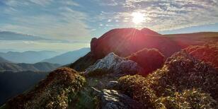 日本百名山・剣山から「四国一美しい山」三嶺へ！  秘境が続く「笹原の縦走」ルート【登山レポート】
