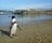 「世界のペンギン」の半分の種類が見られる「長崎ペンギン水族館」 一度は見たい！  かわいい“天然ビーチ”散歩＆マリンアクティビティも楽しめるの画像004