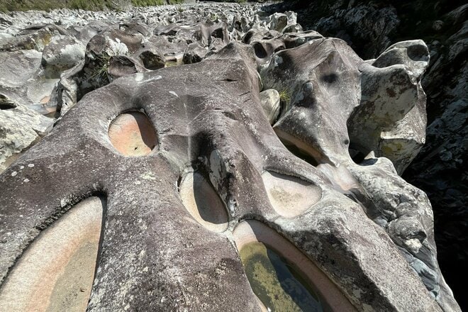 「滝の垂直壁をグイグイ登る “渓流のクライマー”」 オーバーハングも乗り越える小さなハゼの大きな挑戦に思わず胸キュン！  和歌山県｜2026年の画像002