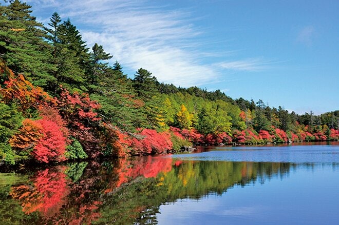 「北八ヶ岳ロープウェイ」 日本三大アルプスを望むワイルドで希少な溶岩台地へ【紅葉フォトトレッキングガイド vol.3】 長野県・八ヶ岳エリアの画像003