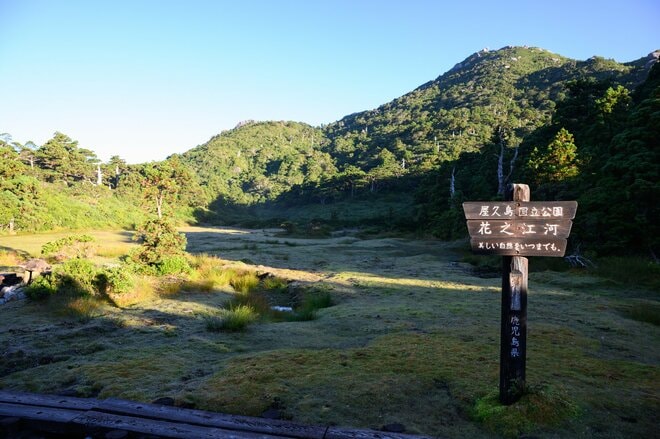 【世界自然遺産・屋久島】九州最高峰の「宮之浦岳」へ！  日本最南端の高層湿原「花之江河」を抜け、洋上のアルプスに臨むの画像008