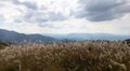 ハズせない「秋の絶景」登山！  黄金に揺れる山頂「ススキ」に「夏のおわり」を想う「大和葛城山」大阪・奈良「登頂レポ」の画像002