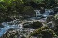 【渓流釣り】 「秋色に染まる鬼の形相！」 日本のチロル・秘境で狙う遠山の鬼アマゴ  長野県南信濃の画像004