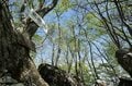 「飽きない」日帰り登山！「奥武蔵4座縦走」芦ヶ久保から武川岳の「オススメ健脚ルート」実走ルポの画像005