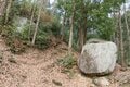 NHK大河『どうする家康』が100倍面白くなる！　本丸からの絶景と巨岩の要塞「大給城」の恐るべき防壁＜後編＞（奥三河／愛知県豊田市）【家康ゆかりの山城を攻める vol.4】の画像016