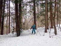 スノーブーツで履けるスキー!? 滑れる人も滑れない人も楽しめる「SNOW HIKE」で冬の森を散策