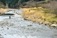 清流「大芦川」解禁日！【驚愕の人出】で大盛況！ 水面を割って躍り出る「美ヤマメ」の春・2022年4月
