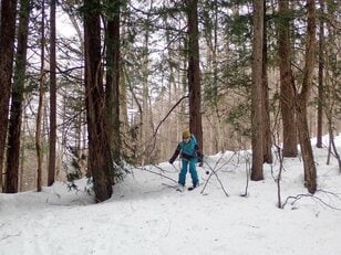 スノーブーツで履けるスキー！？  滑れる人も滑れない人も楽しめる「SNOW HIKE」で冬の森を散策