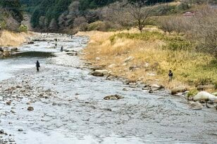 清流「大芦川」解禁日！【驚愕の人出】で大盛況！ 水面を割って躍り出る「美ヤマメ」の春・2022年4月