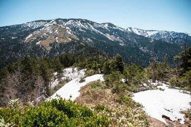 百名山】北アルプスの最奥部！ 黒部五郎岳で静かな残雪の山歩きと星空