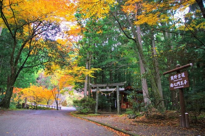 【熊野古道の超定番コース】中辺路・滝尻王子から熊野本宮大社の歩き旅＜熊野古道の歩き方 vol.2＞の画像006