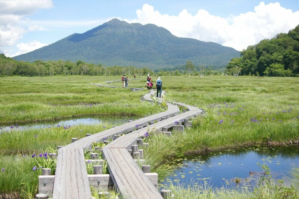 【尾瀬国立公園】この夏に行きたい! 群馬・福島・新潟からアクセスできる、山の中に広がる楽園「尾瀬」の魅力とは|登山|PR|BRAVO MOUNTAIN