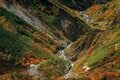 この秋に行きたい！ 至極の紅葉登山【第1回】立山黒部アルペンルートで楽々アクセス！ 山肌を色鮮やかに染める“紅葉”大劇場「立山 室堂」「奥大日岳」の画像006