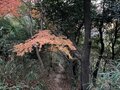 12年に一度「辰年にしか見れないお宝」を拝観。大阪近郊冬ハイキング満喫ルート【里山アドベンチャー！ソトアソ日和 vol.13】の画像015