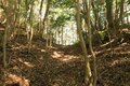 そそり立つ切岸が行く手を阻む。山陰の知られざる名城  石見国・周布城〈前編〉（島根県浜田市）【戦国の山城を攻める vol.01】の画像009