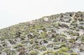【世界的にも珍しい】活動中の火口を間近で見られる「阿蘇山」2022年“夏休みの安全登山”のために知っておきたい「火口規制情報」をおさらいの画像011