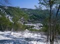 何度でも写真を撮りたくなる！  新緑の山「樹木の魅力」過去20年で200登頂ライターが厳選「リピート登山する3座」荒島岳・檜洞丸・鍋倉山の画像010