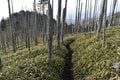 日本一長い名前の山「牛奥ノ雁ヶ腹摺山」富士山や縞枯れ、連なる山並みの景色が美しい好展望コース「登山レポ」の画像001
