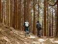 『ゆるキャン△』のメンバーも訪れた「身延山」！ 圧巻の「千本杉」参拝ハイキング＆山頂では名物団子に舌鼓！ パワースポット日帰り登山レポの画像007
