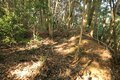 そそり立つ切岸が行く手を阻む。山陰の知られざる名城  石見国・周布城〈前編〉（島根県浜田市）【戦国の山城を攻める vol.01】の画像015
