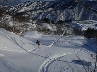 2025シーズンは絶好のパウダー滑走チャンス！  上信越おすすめローカルゲレンデ 【シャルマン火打スキー場】 新潟県