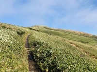 ひろがる絶景は2,000m級！  開放感あふれる絶景の稜線歩き！「平標山」平元新道から松手山コース下山「登山レポ」