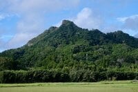 【首都圏近郊】1時間で登れるとは思えない絶景！  房総のマッターホルンこと「伊予ヶ岳」は今からのシーズンがおすすめ
