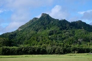 【首都圏近郊】1時間で登れるとは思えない絶景！  房総のマッターホルンこと「伊予ヶ岳」は今からのシーズンがおすすめ