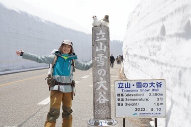 2ヵ月限定】黒部立山のそびえ立つ雪の壁！ 「雪の大谷」を楽しむ
