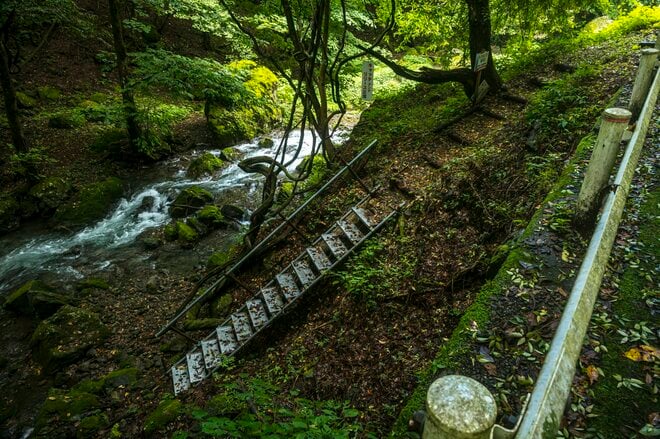 【渓流釣り】気がつけばシーズン終盤！  ゾーニングされた神流川の中ノ沢「毛ばり釣り専用区」と、キャッチ＆リリース区間でのイブニング　群馬県上野村｜2026年の画像003