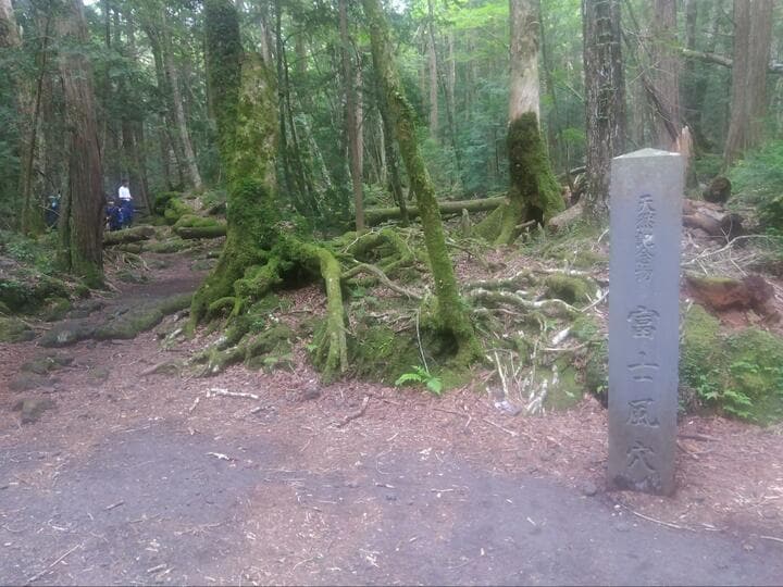 あふれる秘境感＆圧巻の近距離「富士山」絶景！  樹海を抜け、子抱富士「大室山」の頂へ！  下山後は鳴沢氷穴や温泉立ち寄りもOK「3時間ハイキング」レポ 