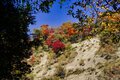 まだ間に合う！【関東の紅葉最終案内】房総・大福山と梅ヶ瀬渓谷で晩秋のんびり歩きの画像006