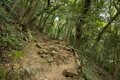 歴史のロマンを感じる登山 “金華山” 岐阜城で「城下を見下ろし殿様気分！？」瓦越しに広がる森と街のコントラストが異次元！【岐阜県】 2024年の画像002