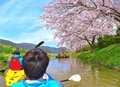 「水の上から」優雅にお花見！  川下りシーズンイン前の練習にも最適な桜の名所＜近江八幡水郷めぐり 前編＞【ユーコンカワイの股旅リバログ vol.29】の画像001
