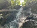 ＜残暑にオススメな“低山の早朝ハイキング”コースPart2＞“涼めるポイント”も豊富な「サクっとモーニングトレイル」私市（きさいち）編【里山アドベンチャー！ソトアソ日和 vol.6】の画像020