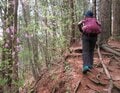 長野県『信州の里山・総選挙！冬山編』第1位！「霧訪山」は春から初夏にはカタクリやニリンソウの群生 “お花畑トレッキング” がおすすめ【塩尻市・辰野町】の画像008