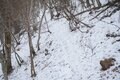 冬季も人気「鉢伏山荘」快適な山小屋泊で冬山登山！  厳冬期＆残雪期の「鉢伏山」 軽アイゼン・チェーンスパイクOK「現地レポ」の画像003