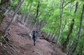 【首都圏近郊ハイキング】5月でもまだ花見ができる山「西丹沢・檜洞丸」への画像013