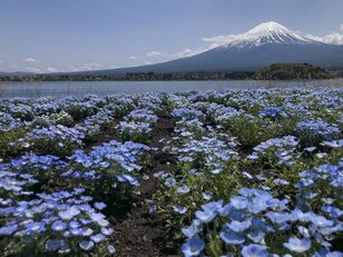 「4月の遭難減少と5月の富士山滑落事故について」2022年4月山梨県警【山岳遭難のリアル】月次レポート