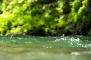 【渓流釣り】雪代トラウトを求めて県境を彷徨うフライフィッシング！ 日本一の川の支流「釣れたのに悲しい」渓流魚の正体とは 《長野県・新潟県 》2023年
