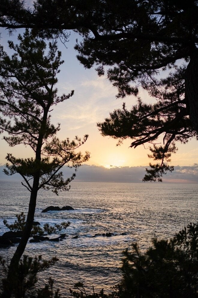 宮城のキャンパーにはお馴染みの絶景「神割崎キャンプ場」の朝日がすごい【絶景キャンプ場ガイド-言葉を失うほどの風景に会いに行こう- vol.39】の画像003