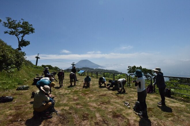 登山初心者に最適なガイドツアー【コロンビア アウトドア アカデミー】夏の北海道を存分に味わえる絶景登山「ニセコアンヌプリ」レポートの画像006