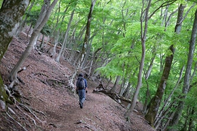 【首都圏近郊ハイキング】5月でもまだ花見ができる山「西丹沢・檜洞丸」への画像013