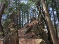 ゴールデンウィークには「ツツジ」が彩る、丹波「向山連山」 ユニーク岩たどる低山縦走＆「黒井城跡」見下す絶景レポート【兵庫県丹波市】の画像012