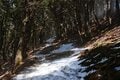 ”気温も表情も緩みっぱなし” 眩し過ぎる雪山風景を楽しむ「春の南アルプス」残雪期登山【南アルプスの日々 vol.11】の画像002