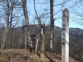 豊かな里山＆固有種のチョウも！ 「藤野15名山」全山の魅力「7つのコース」ハイキングレポ！  秋に訪れるならアートめぐりもOK【神奈川県相模原市】の画像002