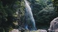 「屋久島と並ぶ日本一の雨量」の知られざる秘境！ 日本百名山にも選ばれた「奈良・大台ヶ原」のエメラルドグリーン絶景の画像004